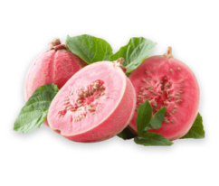 guava