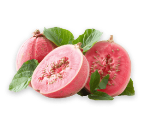 guava