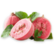 guava